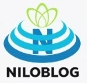 آرایشگری آموزش شنیون